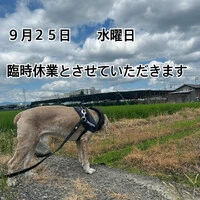 画像1021