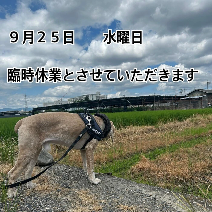 画像1021