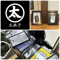 画像1254