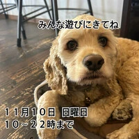 画像1341
