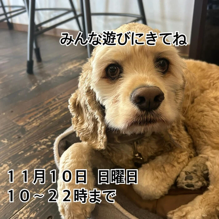 画像1341