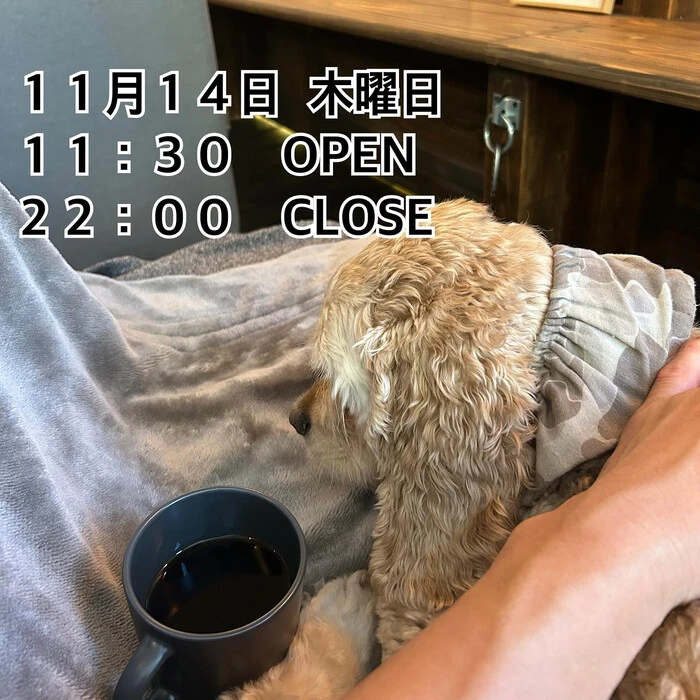 画像1354