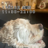 画像1409