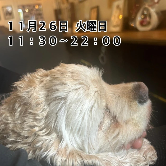 画像1409