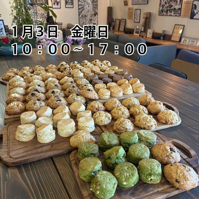 画像1479