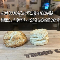 画像1496