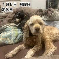 画像1498