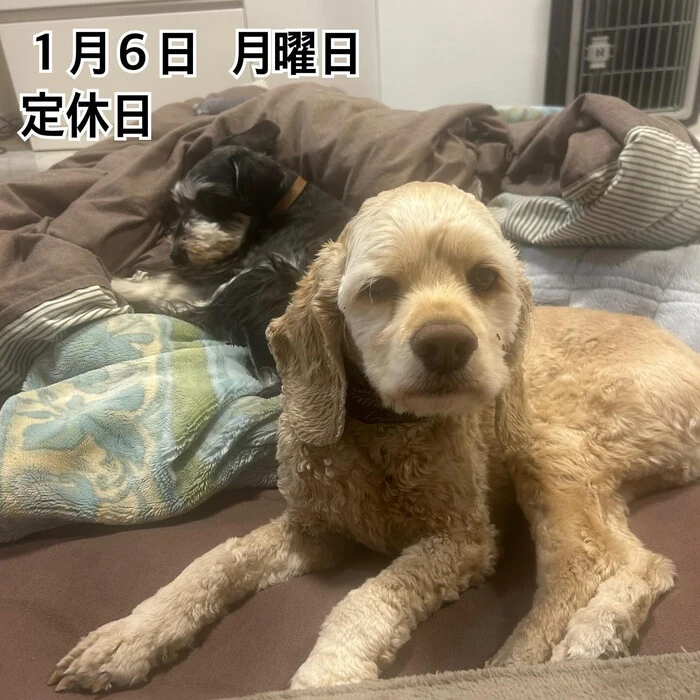画像1498