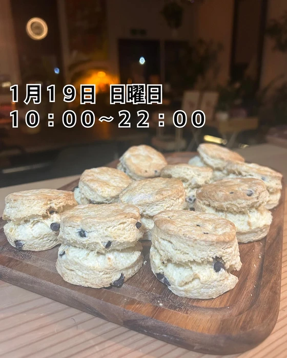 画像1545