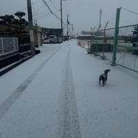画像1658