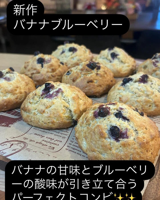 画像1665