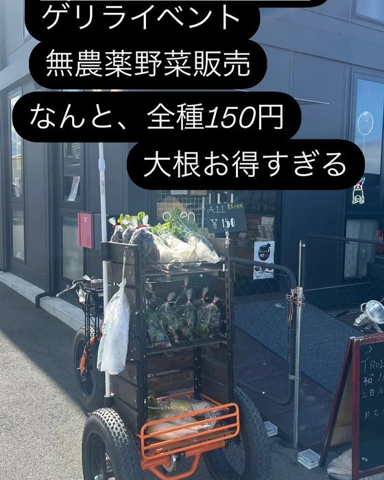 画像1670