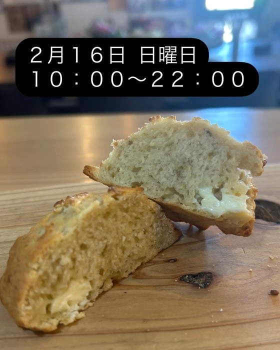 画像1697