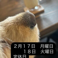 画像1704