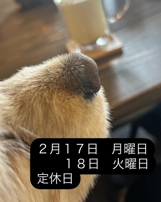 画像1704