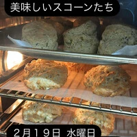 画像1706