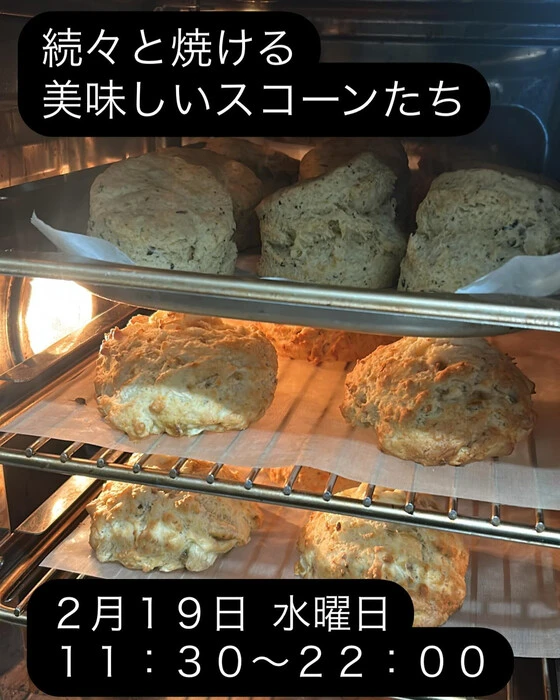 画像1706