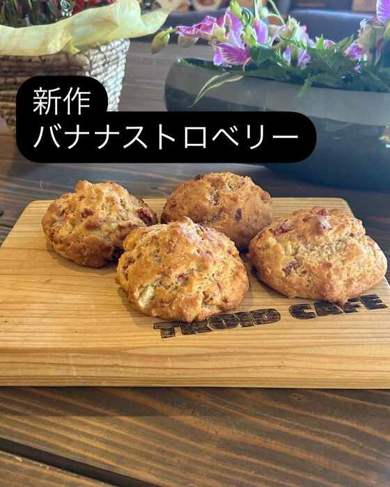 画像1712