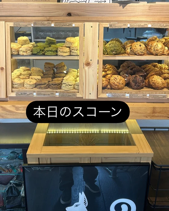 画像1719