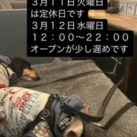 画像1774