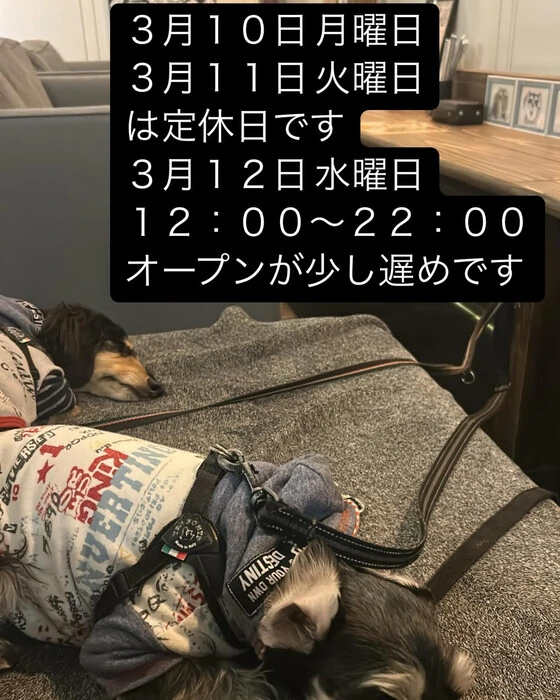 画像1774