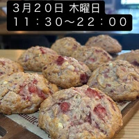 画像1811