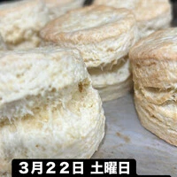 画像1822