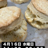 画像1959