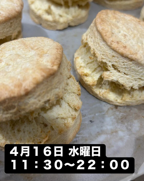 画像1959