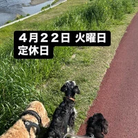 画像1994