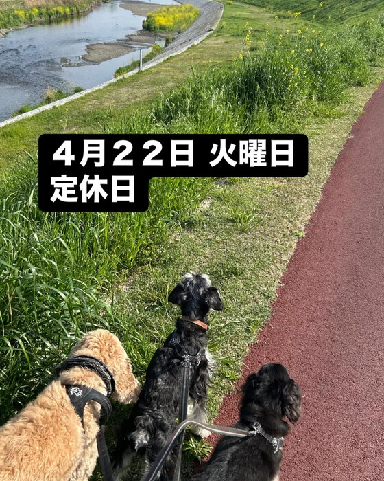 画像1994