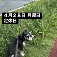 画像2023