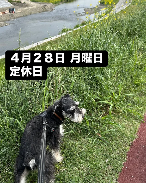 画像2023