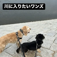 画像2026