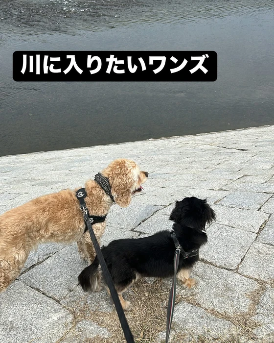 画像2026