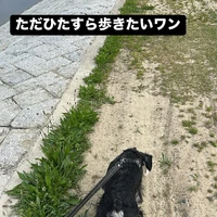 画像2027