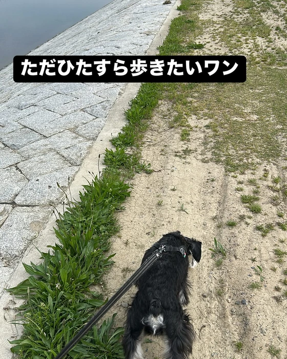 画像2027