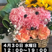 画像2040