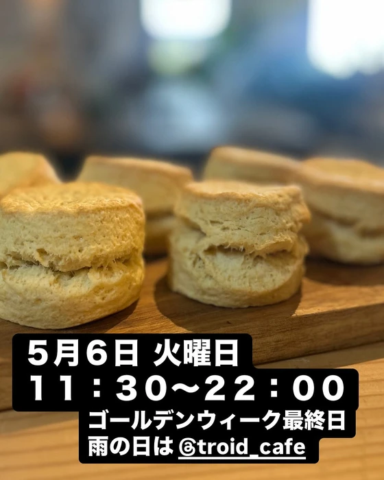 画像2082