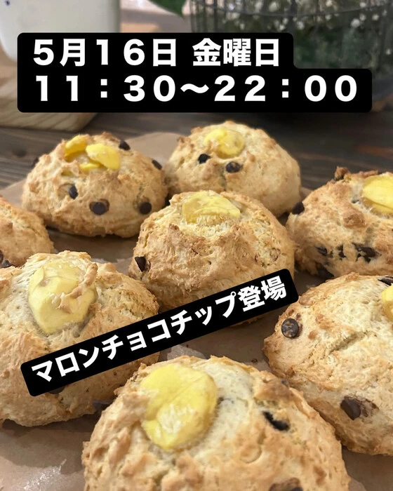 画像2131
