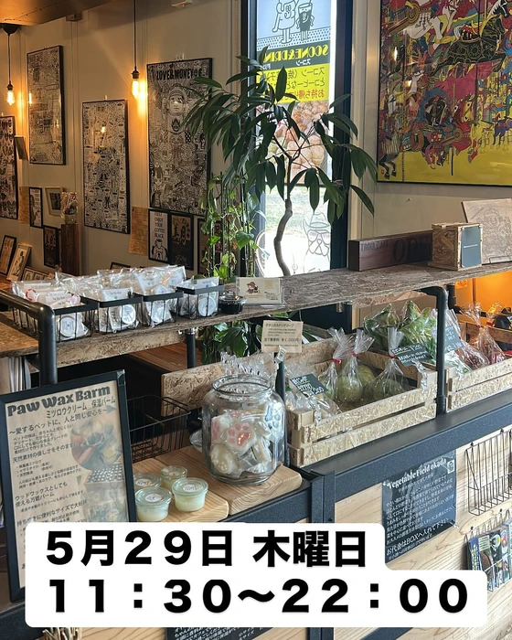 画像2198