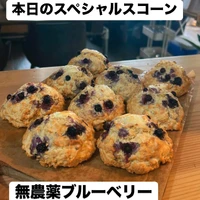 画像2231