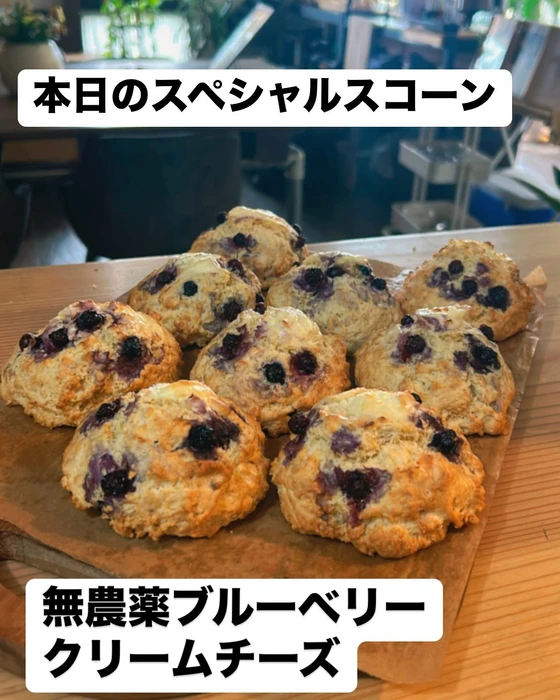 画像2231