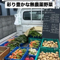 画像2235