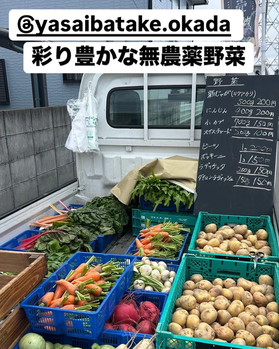 画像2235