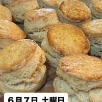 画像2258