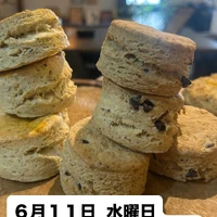 画像2270