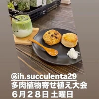 画像2378