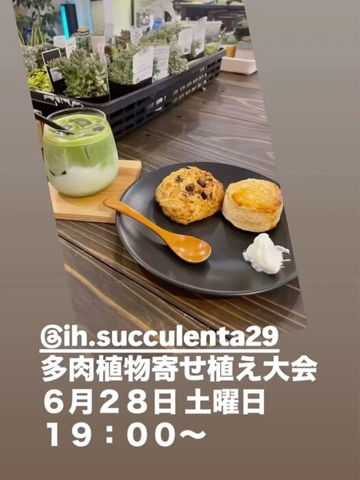 画像2378