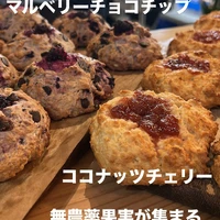 画像2387